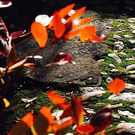 Dom Kd Kruk Διαμέρισμα *