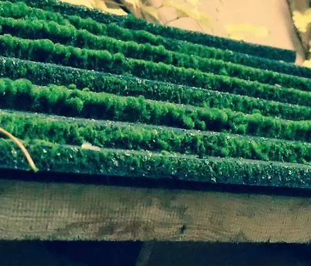 Dom Kd Kruk * Λοτζ