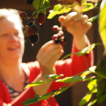 Dom Kd Kruk Διαμέρισμα Λοτζ