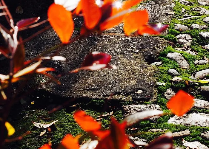 Dom Kd Kruk Διαμέρισμα *