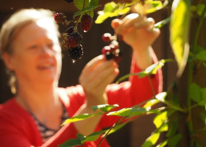 Dom Kd Kruk Apartamento Łódź